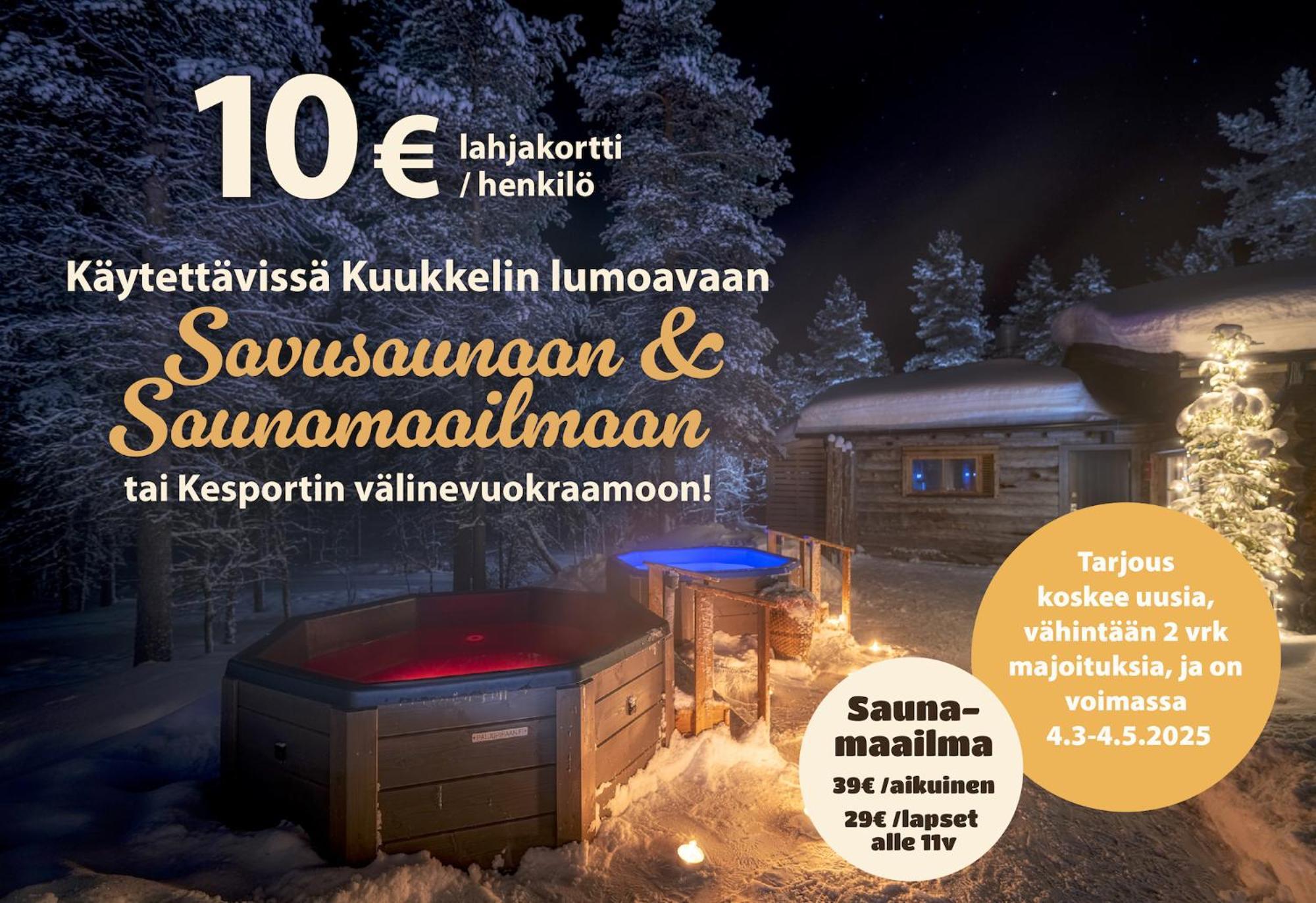 Kuukkeli Log Houses Teerenpesae - Premium Suite A48 萨利色尔卡 外观 照片